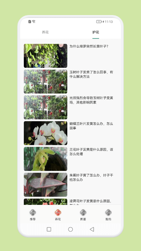 植物识别百科截图1