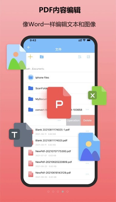 金闪PDF截图3