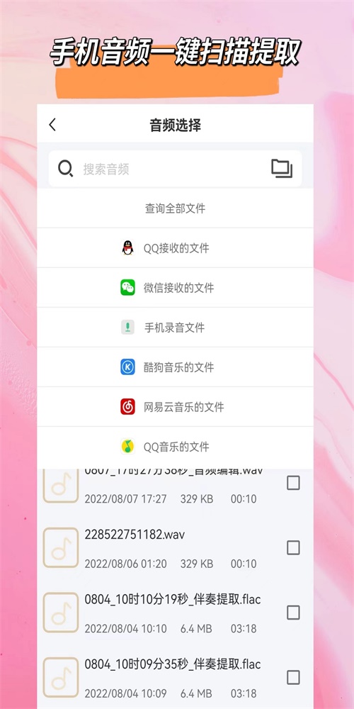 音频格式大师截图3