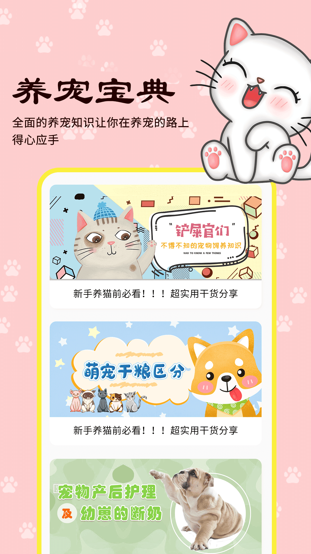 橙猫截图3