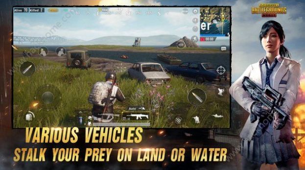 pubgmobile国际服截图2