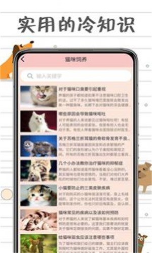 小猫交流器截图2