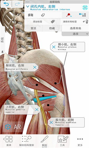 3D人体解剖截图3