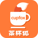 upfox茶杯狐