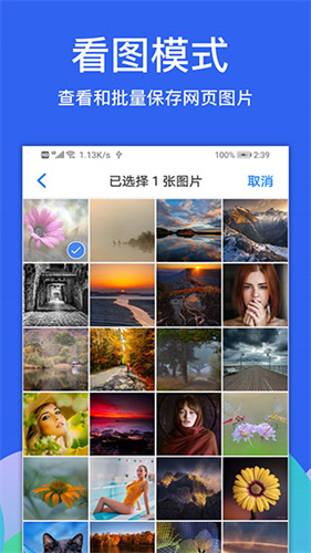 Alook浏览器截图1