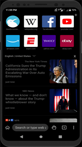 kiwi浏览器手机版截图1