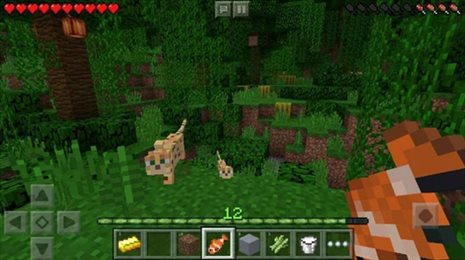 minecraft国际版1.20截图2