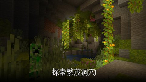 Minecraft国际基岩版截图1