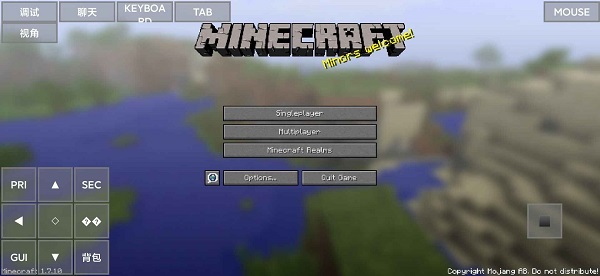 MinecraftJava版截图1