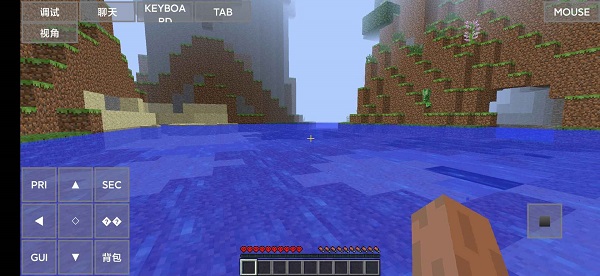 MinecraftJava版截图1