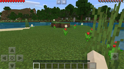 minecraft1.12.2基岩版