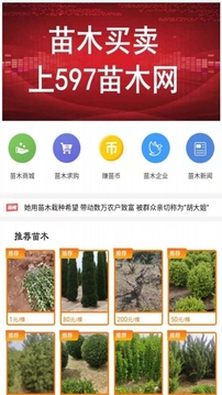 597苗木网截图2