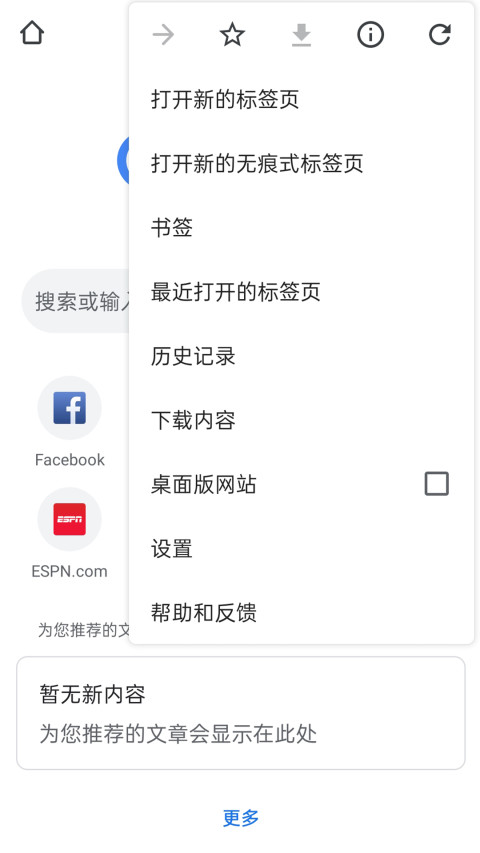 chrome浏览器截图3