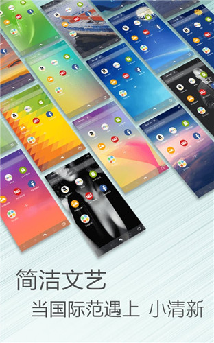 海豚浏览器flash版截图1