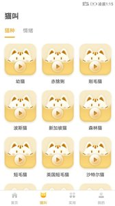 猫语翻译app截图2