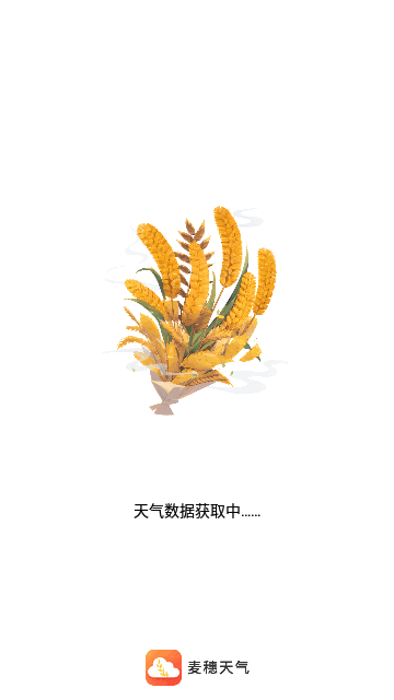 麦穗天气