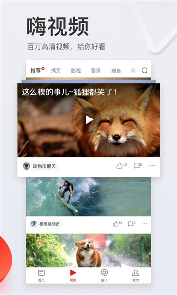 网易新闻app截图2