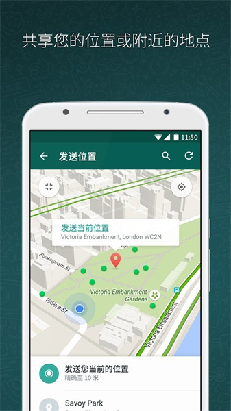 香港whatsapp截图2