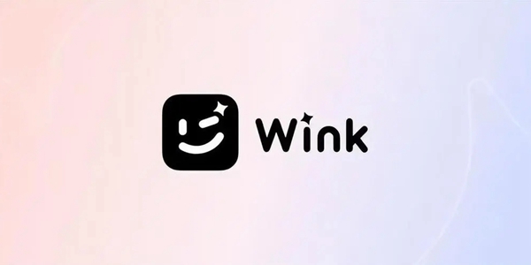 wink相机