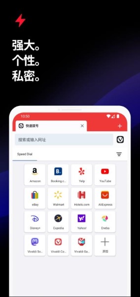 Vivaldi浏览器截图1