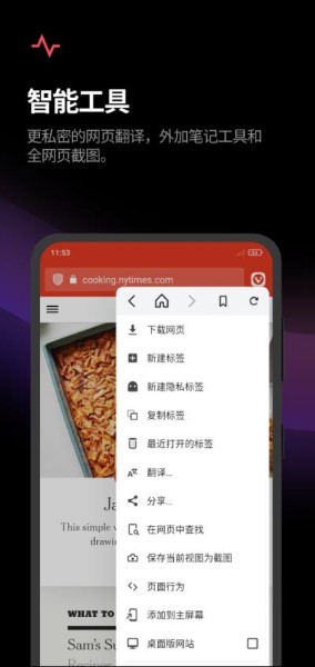 Vivaldi浏览器截图2