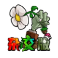 植物大战僵尸杂交版2.4